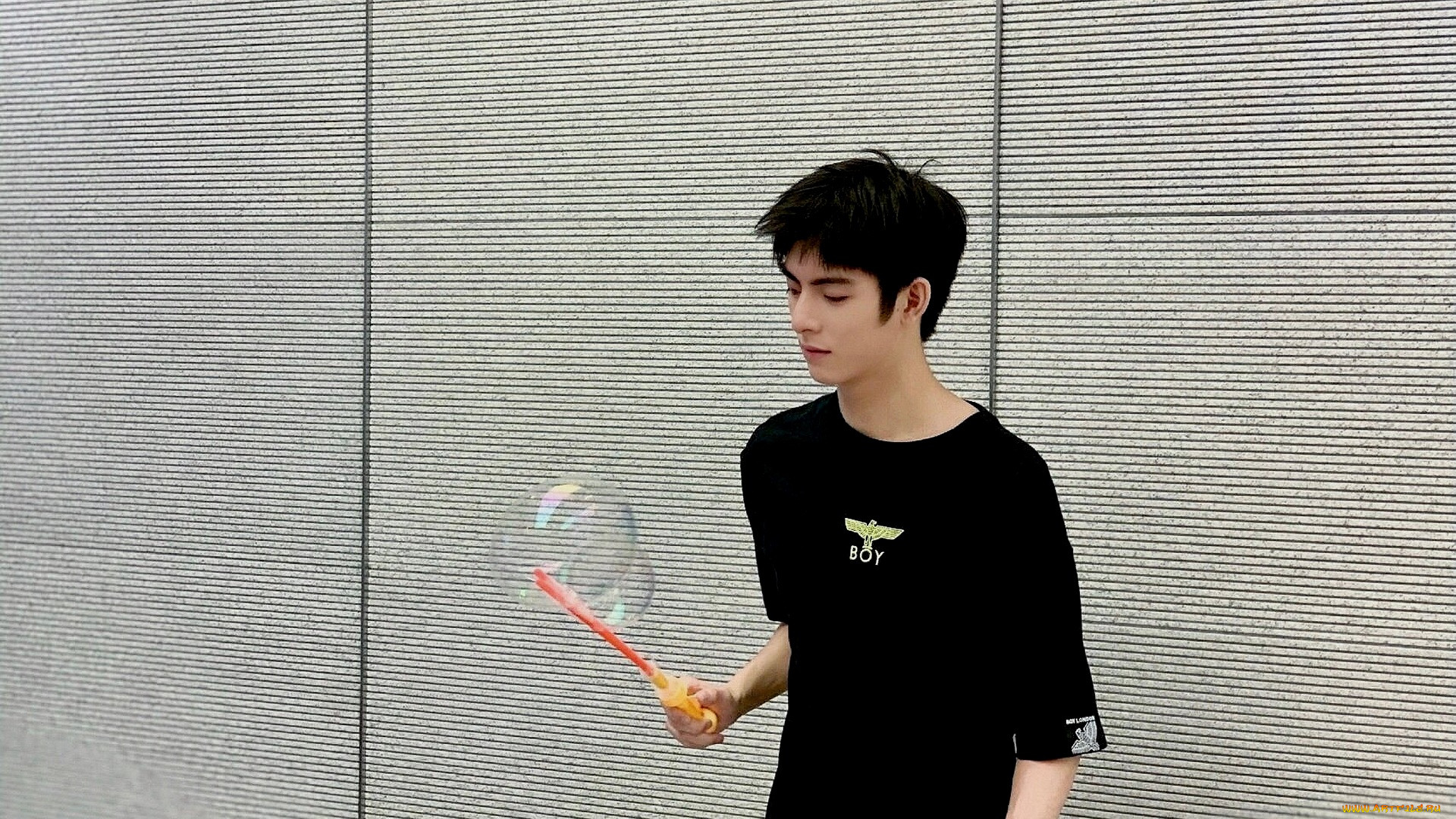 , wang hao xuan, , , wang, hao, xuan